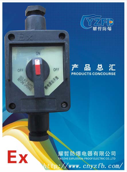 供應(yīng)山東、濟(jì)南、BZM8030（SW80300)防爆防腐照明開關(guān)