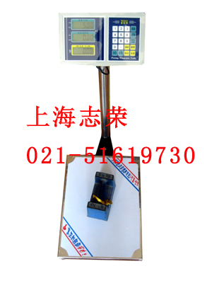 海西電子稱(chēng)，海南電子稱(chēng)，?？陔娮臃Q(chēng)，三亞電子稱(chēng)