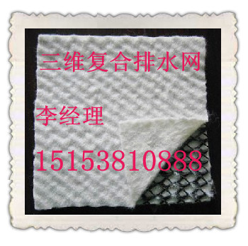 牡丹江三維土工網(wǎng)墊廠家（河北三維土工網(wǎng)墊價格）1515381088