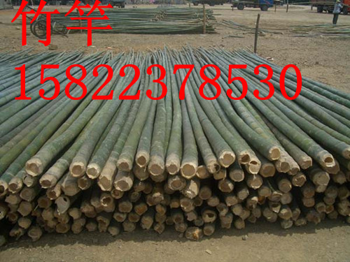 天津竹竿價(jià)格-天津綠化竹竿供應(yīng)批發(fā)