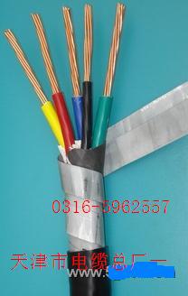 礦用護(hù)套電力電纜 MVV礦用護(hù)套電力電纜 礦用電力電纜廠家