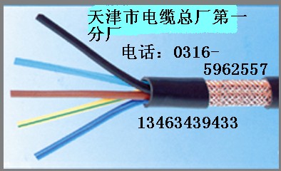 U0/U450/750V-RVVYPܛ|S