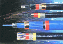 阻燃計(jì)算機(jī)電纜ZR-DJYVP 8*2*0.75計(jì)算機(jī)對絞網(wǎng)線