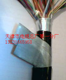 ȫzbͨ|HYA23-30*2*0.4SֱN(xio)