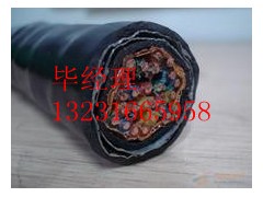 ZR-HJVVP20*2*0.5ͨӍ|