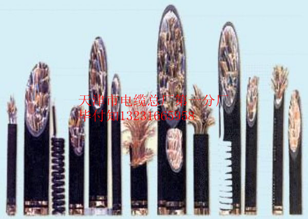 (yng)(yu)|(zh)HYVP100*2*0.4/100ͨ|Xһ