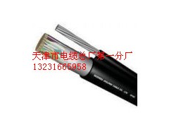 ZR-KVVRC12*0.75p䓽zK܇|S