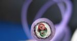 現(xiàn)貨供應(yīng)-PROFIBUS DP總線(xiàn)【西門(mén)子電纜】