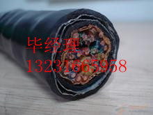ȫzbͨ|HYA53-500*2*0.5(jng)0316-59