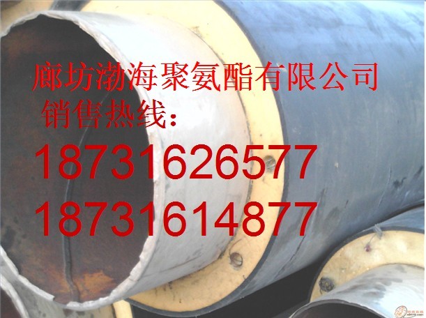 DN600聚氨酯發(fā)泡管報價 廣東聚氨酯發(fā)泡管規(guī)格