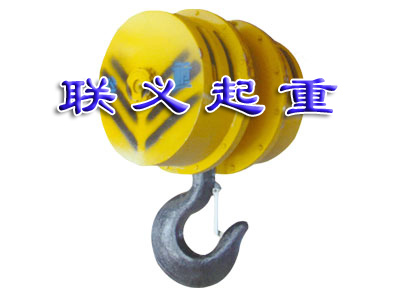 起重機(jī)專用吊鉤組 吊鉤組生產(chǎn)廠家--聯(lián)義起重機(jī)械配件