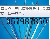 新疆壓力表YD熱電偶烏魯木齊耐震壓力表、工業(yè)熱電偶