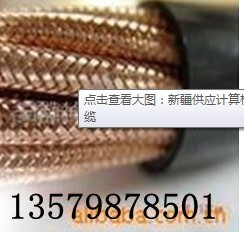 計算機電纜生產(chǎn)供應(yīng)商：新疆維吾爾自治區(qū)計算機電纜廠家
