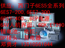 (yng)F(xin)؛6ES5317-3UA11u6ES5 317-3UA11
