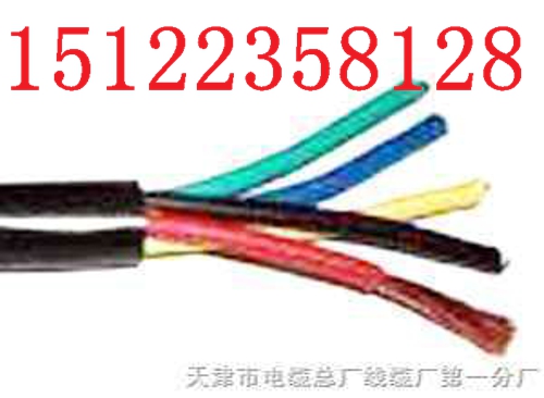 （國標(biāo)）RVV 2*0.2 雙絞線價格