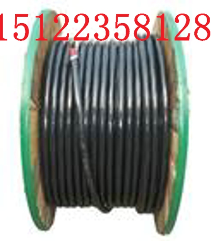 ˣRVVP 2*1.0r
