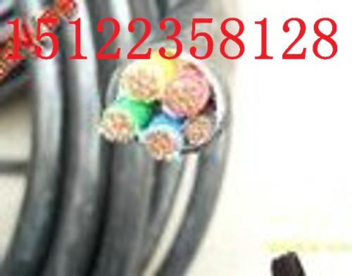 ˣRVVP 12*0.5|r
