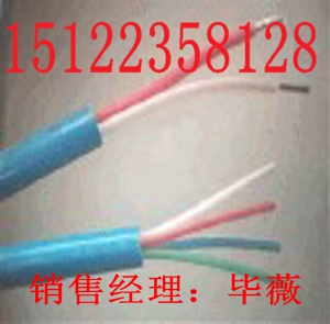 (廠家直銷(xiāo))（8*0.75mm2-MKVV32煤礦用監(jiān)控電纜）價(jià)格