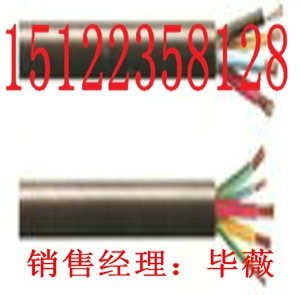 推薦MKVV礦用監(jiān)控電纜-規(guī)格（最新/報價）
