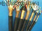 計(jì)算機(jī)電纜DJYVP2 屏蔽信號電纜DJYVP2
