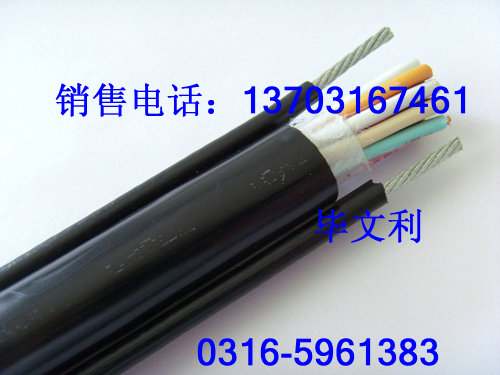 TVR電纜，KTVR電纜，TVR電纜KTVR電纜  KVVRC
