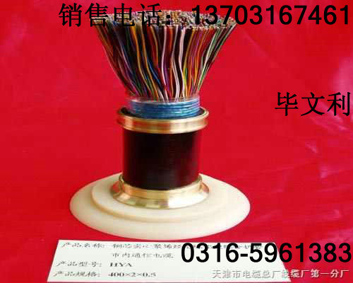 計算機(jī)電纜DJYPVP【銷售】！