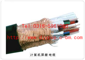 計(jì)算機(jī)屏蔽電纜-DJYPV；計(jì)算機(jī)控制電纜-DJYPV