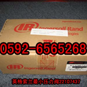 英格索蘭最小壓力閥22107437