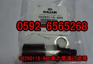 ܵ^(gu)VӾSް02250115-960
