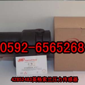 供應(yīng)英格索蘭空壓機(jī)43030626進(jìn)氣閥