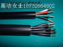 好PTYA23電纜天聯(lián)造! 全國知名PTYA23電纜品牌