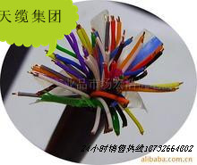 供應(yīng)天聯(lián)牌CPEV-S電纜規(guī)格報(bào)價(jià)（價(jià)格）