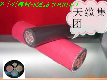 JHS防水軟電纜 高質(zhì)量JHS防水電纜多少錢一米