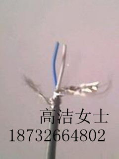 STP-120 2*2*0.5雙絞屏蔽線
