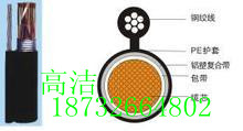 火爆推存-80對架空電話線價格