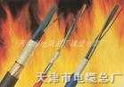 供應(yīng)銅帶屏蔽耐火計算機電纜NH—DJYP2V,NH—DJYV