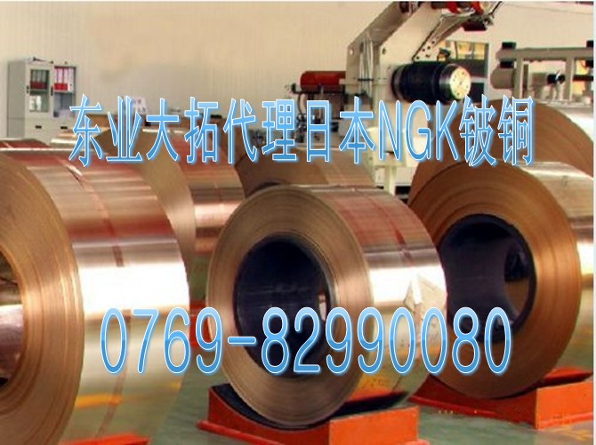 C17300美國鈹銅 抗氧化鈹銅C17300 C17300鈹銅