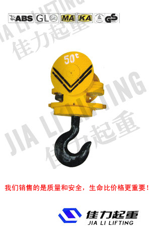 供應(yīng)DHL環(huán)鏈葫蘆電動(dòng)葫蘆~大連電動(dòng)葫蘆