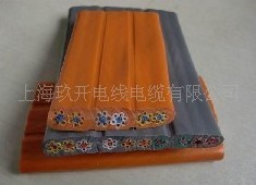 電梯隨行電纜，隨行電線電纜，電線電纜