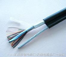 遼陽化工防爆儀器屏蔽電纜銷售，遼陽化工儀器防爆電纜廠家