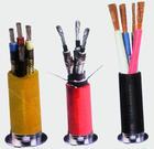 撫順RS485信號電纜廠家，撫順RS485數(shù)據(jù)電纜生產(chǎn)
