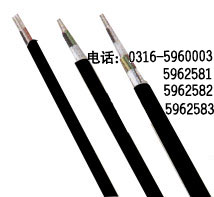 海域IAKYJVP22，海域本安對較電纜，海域IAKYJVP
