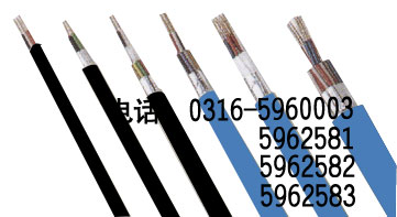 海域金屬屏蔽電力電纜廠家，海域金屬屏蔽電纜銷售