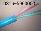 海域BPYJVP2，BPVVP2，海域變頻器專用電纜