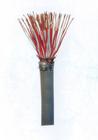 南通井筒RS485電纜廠家，南通井筒RS485電纜生產(chǎn)
