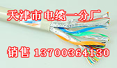 南通本安電纜型號，南通IADJYPVP本安電纜，南通本安電纜供應(yīng)