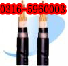 南通銷售化工本安電纜，南通供應(yīng)IAKVVR電纜生產(chǎn)