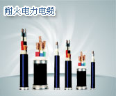 南通井筒監(jiān)測(cè)電纜廠家，南通井筒監(jiān)控電纜銷售