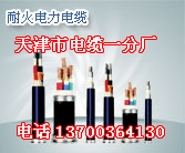 遼陽(yáng)礦用斜巷通信電纜銷(xiāo)售，遼陽(yáng)礦用MHYAV通信電纜，