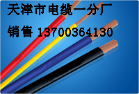 遼陽(yáng)煤礦豎井防爆電話電纜生產(chǎn)，遼陽(yáng)防爆電話線銷售